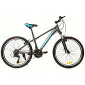Велосипед Welt 24" Peak, matt grey