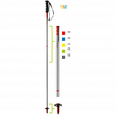 Палки горнолыжные Elan RentalROD